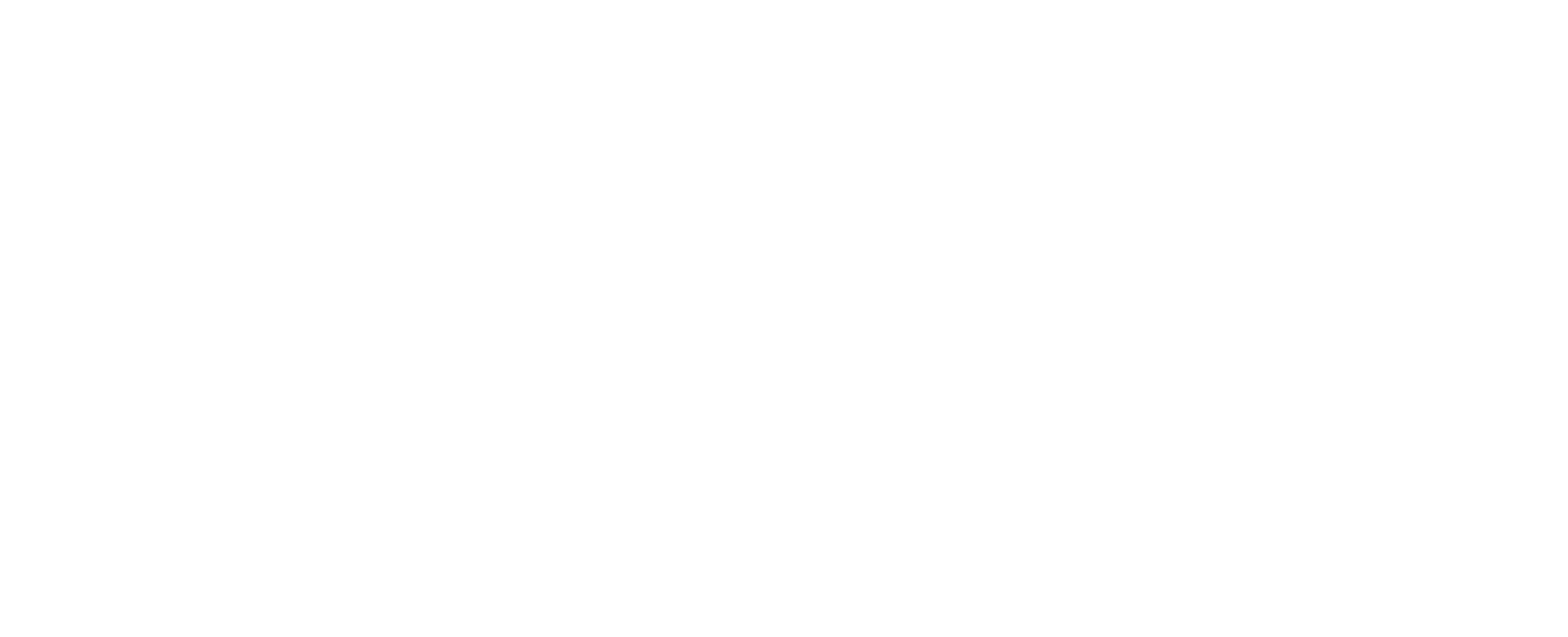 Capital Minds